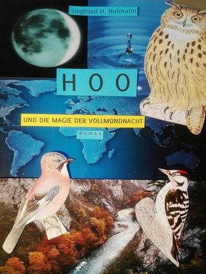 cover image of HOO